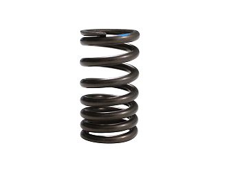 SPRĘŻYNA ZAWOROWA SVT650 SVT650X