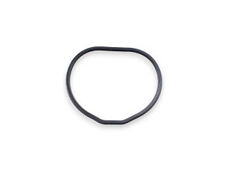 O-RING SFA1000 SFA600