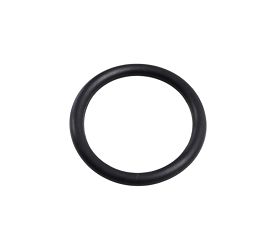 O-RING SFA1000 SFA6000