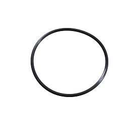 O-RING SFA1000 SFA6000
