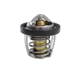 TERMOSTAT FORT350