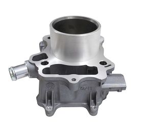 image 6 for CYLINDER SFA300 