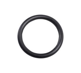 O-RING 19X2,65MM SFA300