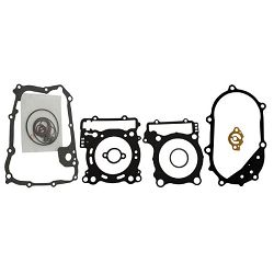 KOMPLET USZCZELEK SILNIKA YAMAHA MAJESTY 400 04-06R RMS 10 068 9790